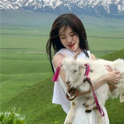 美国派:高潮再起
